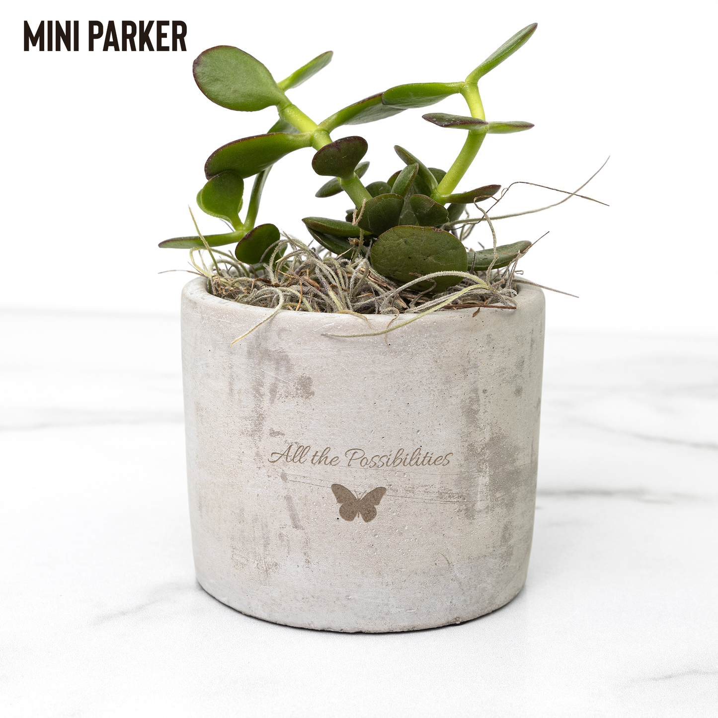 Desk_Plant_Assortment-All_the_Possibilit_Parker_Mockup_Mockup.png