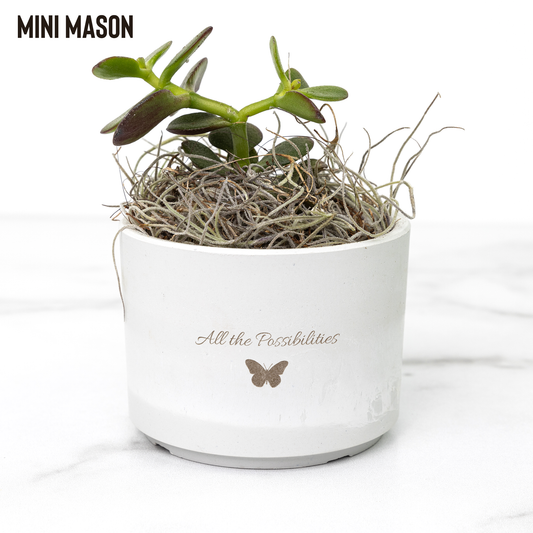 Desk_Plant_Assortment-All_the_Possibilit_Mason_Mockup_Mockup.png