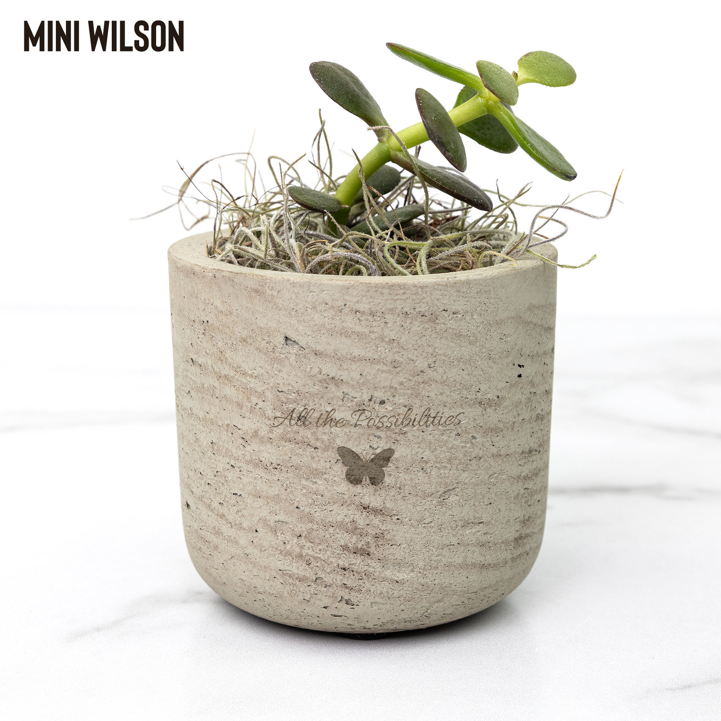 Desk_Plant_Assortment-All_the_Possibilit_Wilson_Mockup_Mockup.png